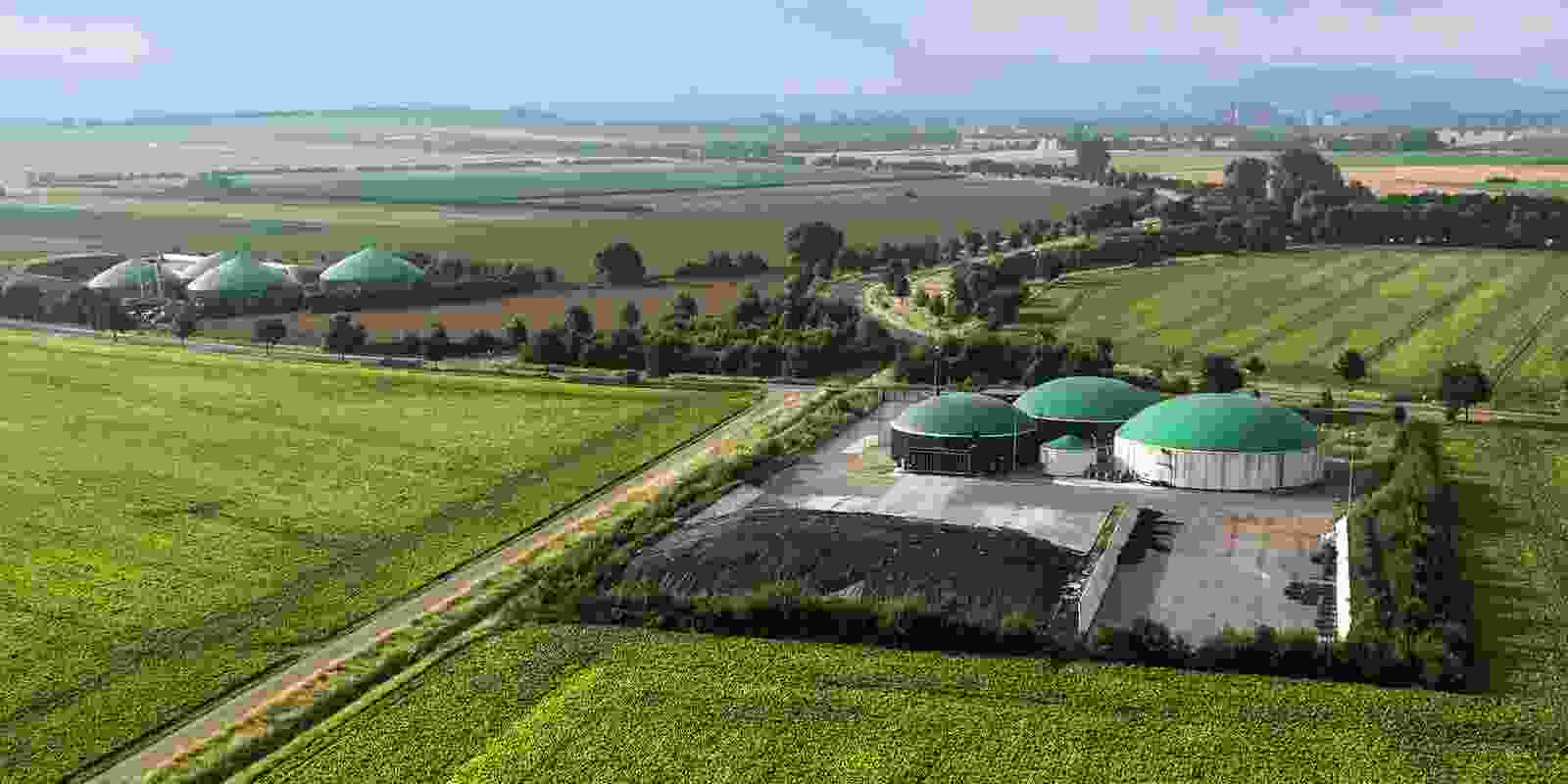 Bio Energy
